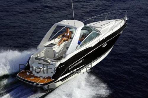 Monterey 295SY  technische daten 